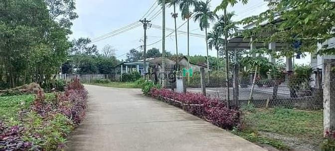 Hình ảnh 10x25: tặng kèm nhà cấp 4 nhỏ và 300m2 đất vườn