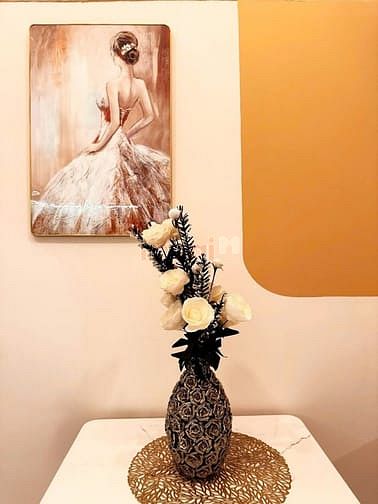 Hình ảnh Bán Mb6623 nạp rút nhanh chóng Premium Home Đ.Vườn Lài, An Phú Đông, Q12