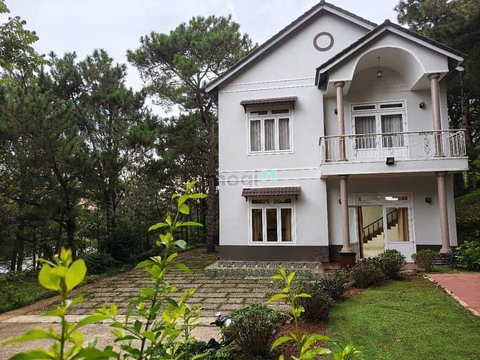 Hình ảnh Cho thuê villa sân vườn 5 phòng toạ lạc rừng thông phường 8 đà lạt