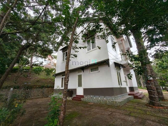 Hình ảnh Cho thuê villa sân vườn 5 phòng toạ lạc rừng thông phường 8 đà lạt