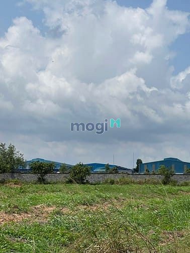 Hình ảnh Bán đất ngay KCN Giang Điền sổ hồng thổ cư giá chỉ 1,1 tỷ