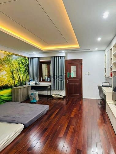 Hình ảnh Cho thuê biệt thự sân bay 3/11a Phổ Quàn, Phường 2, Tân Bình