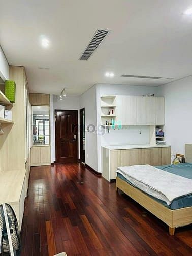 Hình ảnh Cho thuê biệt thự sân bay 3/11a Phổ Quàn, Phường 2, Tân Bình
