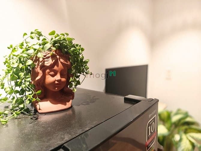 Hình ảnh Cho thuê Trang Chủ MB66.COM / Đăng Ký Tặng 66K có gác ở Nguyễn Xí
