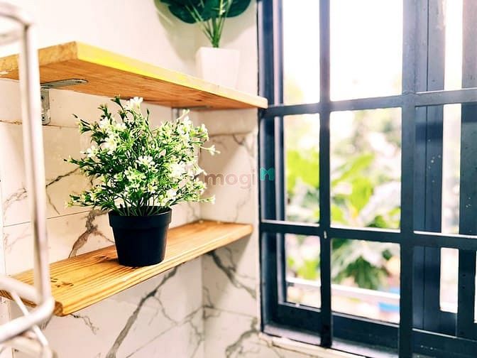 Hình ảnh Cho Thuê Phòng Duplex Cao Cấp Trần Văn Giàu - Tên Lửa - Tân Tạo
