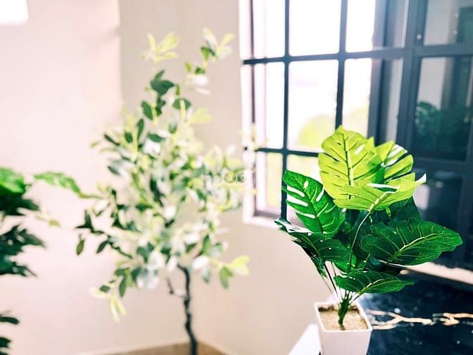 Hình ảnh Phòng Có Gác (Duplex) Full Nội Thất - TÊN LỬA - TRẦN VĂN GIÀU