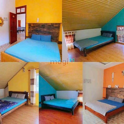 Hình ảnh Cho thuê homestay phan chu trinh phường 9 tp đà lạt