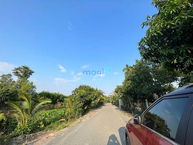 Hình ảnh Bán Đất Chính Chủ 175m2 Giá 350 Triệu, Sổ Riêng