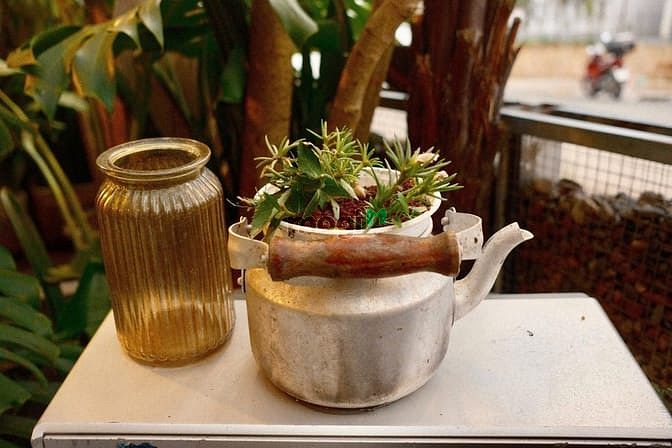 Hình ảnh Cho thue nhà vườn - biệt thự nguyên căn