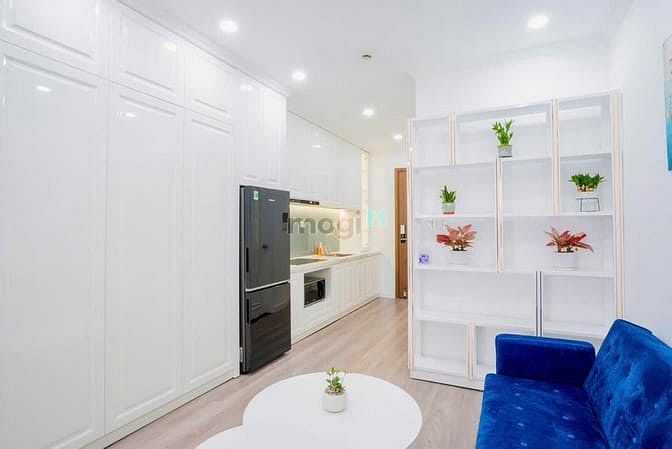 Hình ảnh Chung cư The Botanic, P2, TB: 1pn, full nội thất, 45m2, 12tr/tháng