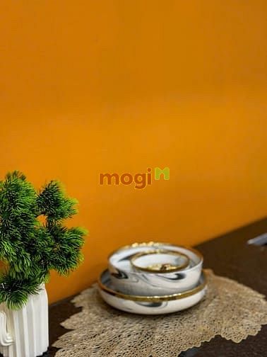 Hình ảnh Khai trương căn Studio tách bếp decor siêu xinh ngay Vạn Hạnh Mall Q10