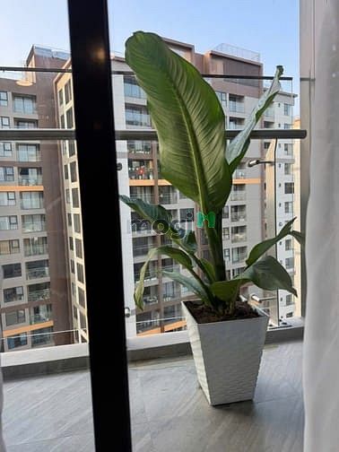 Hình ảnh Chung cư Orchard Parkview P9, Phú Nhuận: NTCC, 2p ngủ, 75m2, 17tr/th