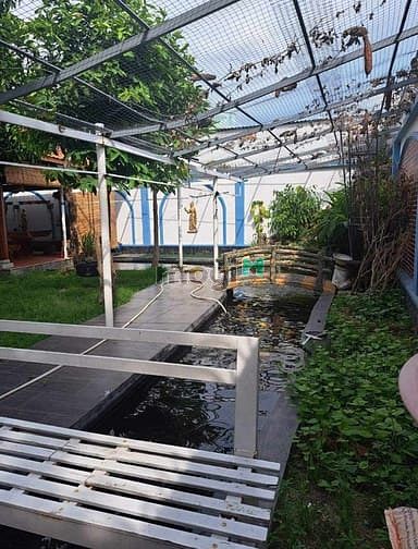 Hình ảnh Giảm 4 tỷ , Biệt Thự vườn , 1300m2 , 2 tầng , Siêu đẹp Siêu Vip