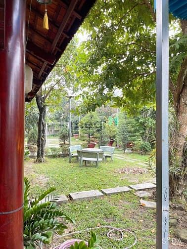 Hình ảnh Bán Biệt Thự Sân Vườn , 1700m2 ( 40 x 43 ) , Dĩ An , Nhỉnh 8trm2
