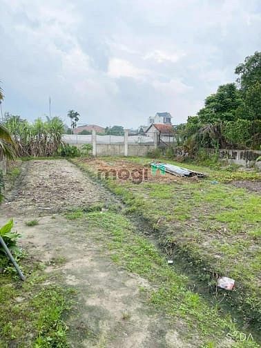 Hình ảnh Bán Biệt Thự Sân Vườn , 1700m2 ( 40 x 43 ) , Dĩ An , Nhỉnh 8trm2