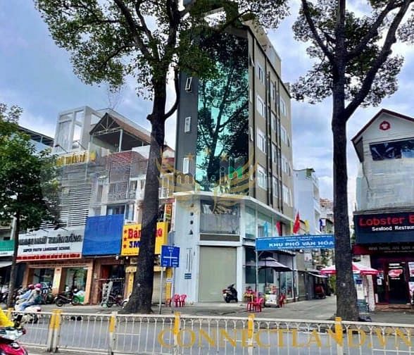 Hình ảnh Spa góc 2MT Nguyễn Tri Phương, Q10. Dt: 5,5x18M, Kc: hầm 7 tầng TM+PCC