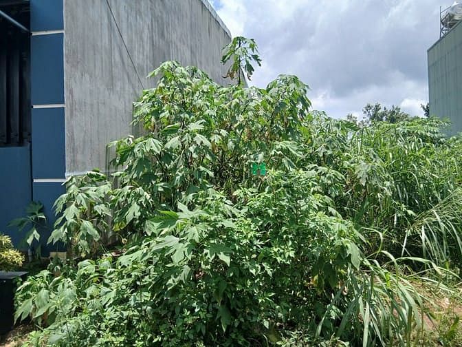 Hình ảnh ĐẤT hẻm gần chợ Trà Bá và Uỷ ban phường Hội Phú