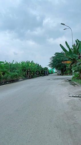 Hình ảnh Cần tiền bán gấp đất nên dự án 13E làng việt kiều