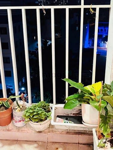 Hình ảnh Chung cư 10A Trần Nhật Duật,Tân Định, Q1: 70m2, 2p ngủ, 12tr/th
