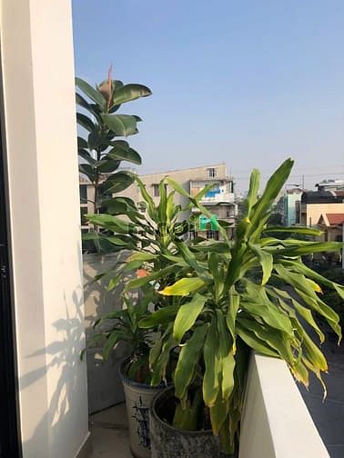 Hình ảnh Duplex full nội thất an ninh gần ĐH Văn Lang Nơ Trang Long Bình Thạnh