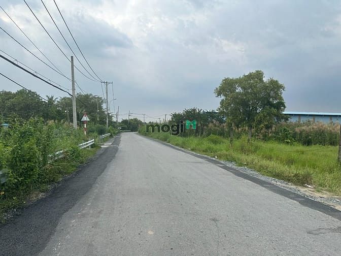 Hình ảnh Bán đất đường Hưng Long - Quy Đức, Bình Chánh ( 1,5ha )