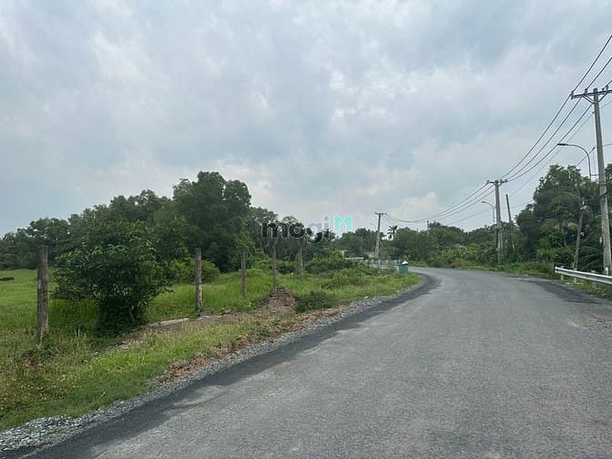 Hình ảnh Bán đất đường Hưng Long - Quy Đức, Bình Chánh ( 1,5ha )