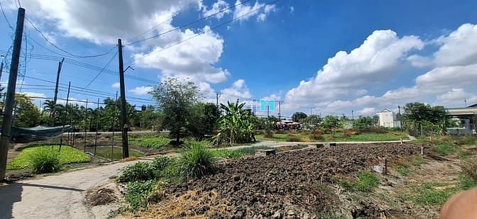 Hình ảnh Bán đất đường Tân Liễu, Hưng Long, Bình Chánh