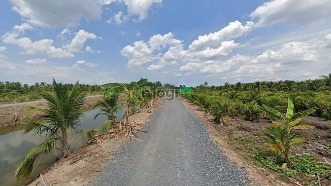 Hình ảnh Bán Đất Vườn Lê Minh Xuân – Diện tích 5.000m²