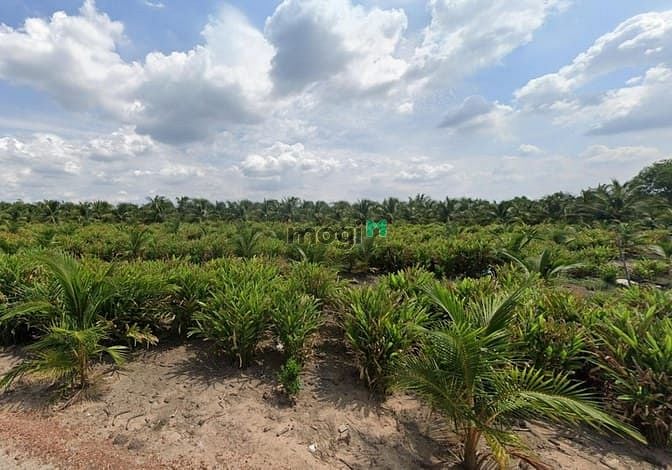 Hình ảnh Bán Đất Vườn Lê Minh Xuân – Diện tích 5.000m²