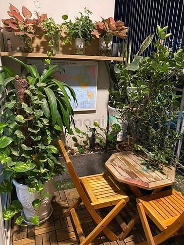 Hình ảnh CHung cư Phú Thạnh, Nguyễn Sơn, TP: 80m2,2p ngủ, NT, giá 9tr
