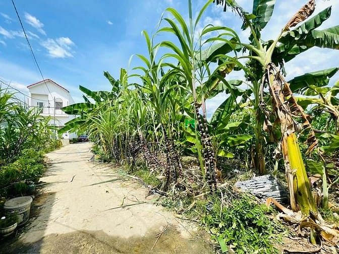 Hình ảnh DA68 Bán đất hẻm 4m thôn Phú Ân Nam xã Diên An giáp địa phận Nha TRang