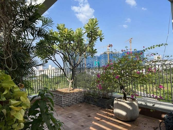 Hình ảnh Cho thuê Penhouse StarHill PMH Q7 .3PN 3WC.DT 242m2 cho thuê 60tr/th.