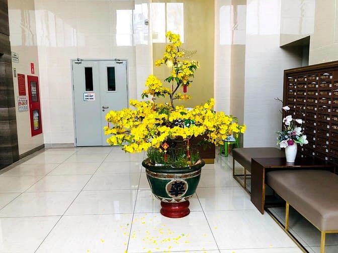 Hình ảnh Cho thuê Trang Chủ MB66.COM / Đăng Ký Tặng 66K MOONLIGHT BOULEVR 2PN 2WC full nội thất giá 12tr/tháng