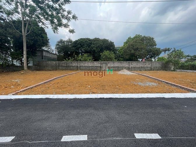 Hình ảnh Bán 3 lô đất thổ cư 120m² tại Đồng Trạng, Cổ Đông, Sơn Tây