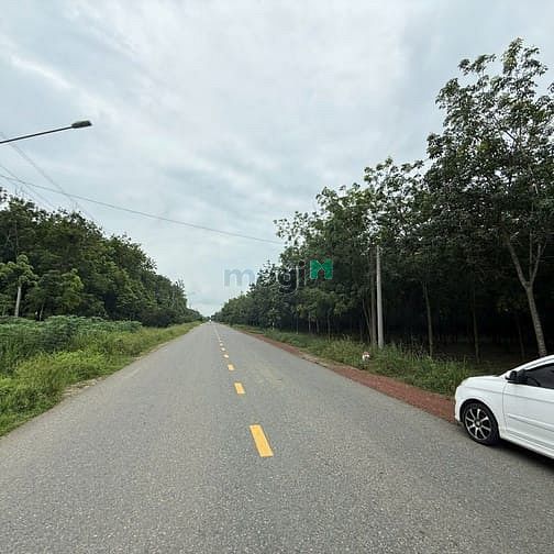 Hình ảnh Cần bán đât mặt tiền DT749b Minh Hòa, Dầu TIếng, Bình Dương, 2ha2