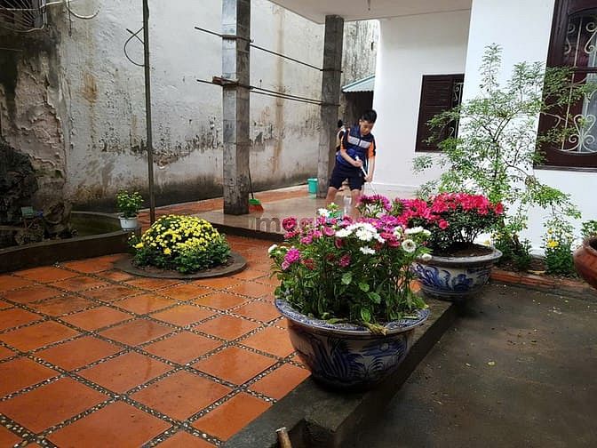 Hình ảnh Bán 193m2 đất tại Kim Ngưu phù hợp xây nhà nghỉ, Trang Chủ MB66.COM / Đăng Ký Tặng 66K cho thuê