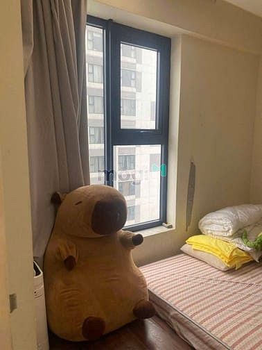 Hình ảnh Chung cư Ruby Garden, Nguyễn Sỹ Sách, P15, TB, 57m2, 1PN, 2WC, 8tr/th.