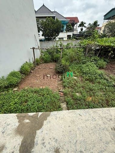 Hình ảnh Đa Tốn Thuận Tốn- Cạnh 379 VinOCP và Ecopark-44m MT 5m -Phân Khúc Hiếm