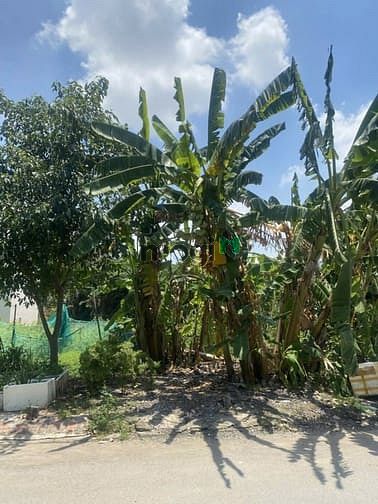 Hình ảnh đất đẹp giá tốt - long trường - thủ đức