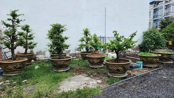 Hình ảnh Bán đất full thổ cư 4x15 giá 4.3 tỷ Đường 8m Thạnh Xuân 22
