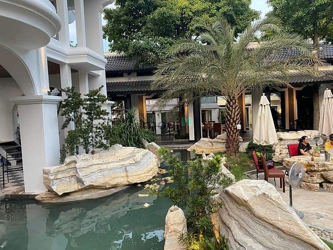 Hình ảnh Bán đất MT đường Dương Quảng Hàm, Gò Vấp DT 60x100m thổ cư 100%