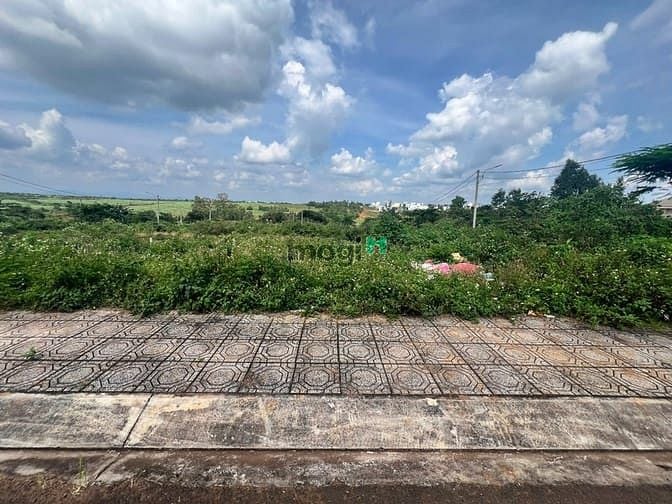 Hình ảnh Bán LÔ góc mặt tiền Cô Giang khu đấu giá phường Hoa Lư