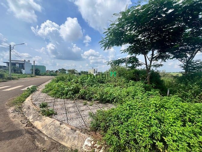 Hình ảnh Bán LÔ góc mặt tiền Cô Giang khu đấu giá phường Hoa Lư