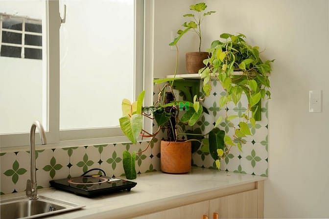 Hình ảnh Cho thuê phòng Duplex, full nội thất , P2 , Cách Mạng Tháng 8, Q.TB