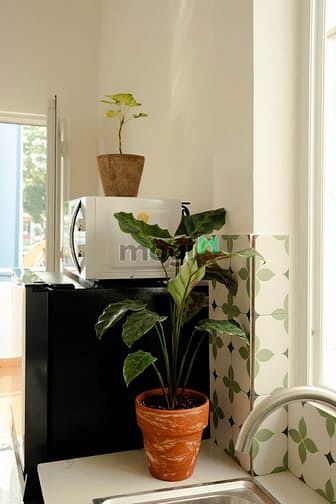 Hình ảnh Cho thuê phòng Duplex, full nội thất , P2 , Cách Mạng Tháng 8, Q.TB