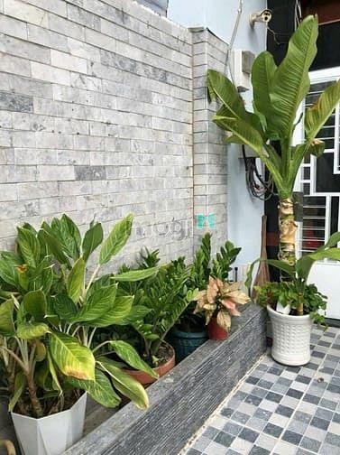 Hình ảnh Cho thuê ký túc Xá Huỳnh Tấn Phát, Gần ĐH UFM, phòng đẹp - Sạch sẽ✨