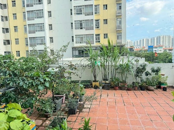 Hình ảnh Cần cho thuê nhanh Trang Chủ MB66.COM / Đăng Ký Tặng 66K Sky Garden, PMH Q7,2PN 2WC giá 12tr/th