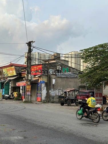 Hình ảnh Bán Đất Quận Hoàng Mai - 975 Tam Trinh - S 112.5m2 - Mặt Ngõ Thông