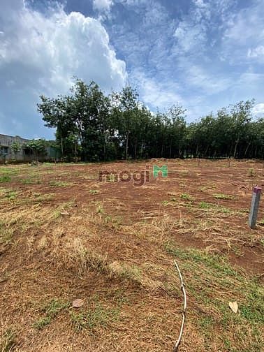 Hình ảnh Đất nền Long Hà Bình Phước 370m2, gần 2 KCN mặt tiền đường 18m