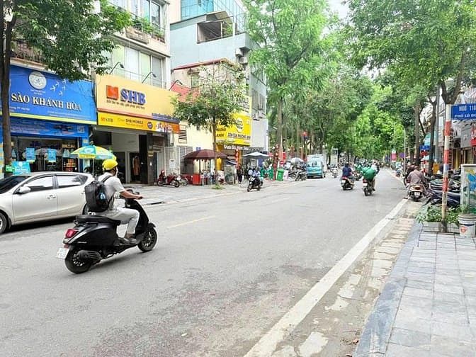 Hình ảnh Bán Đất Mặt Phố Phạm Đình Hổ, 2 THOÁNG, 225M2, MT 12M, 140 TỶ